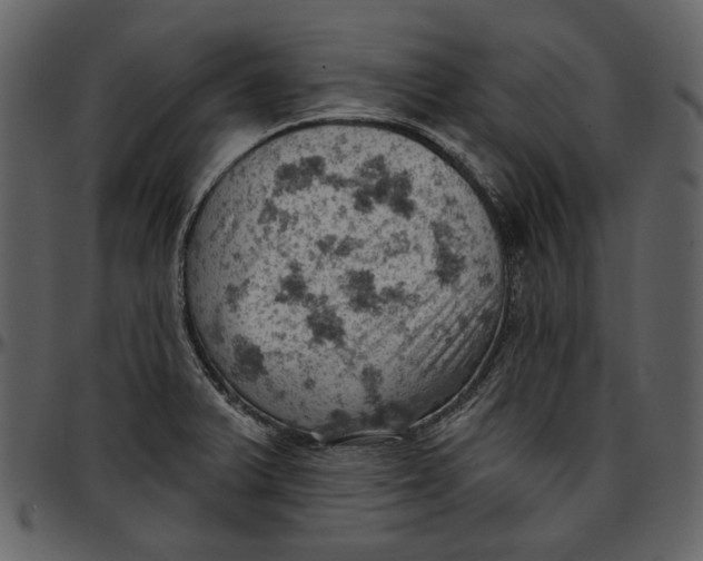 X0000096951375200802291046