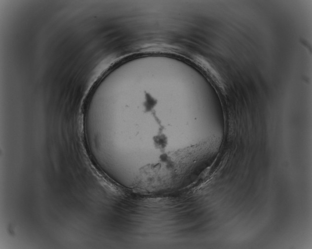 X0000096951376200802291046