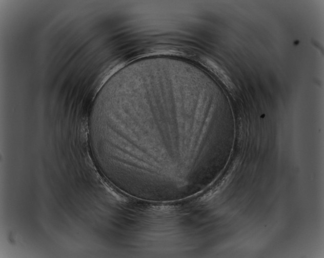 X0000096951377200802291046