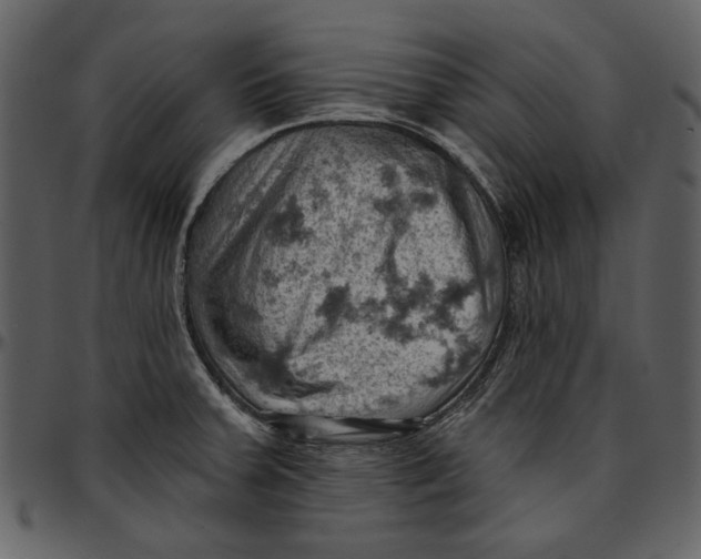 X0000096951379200802291046