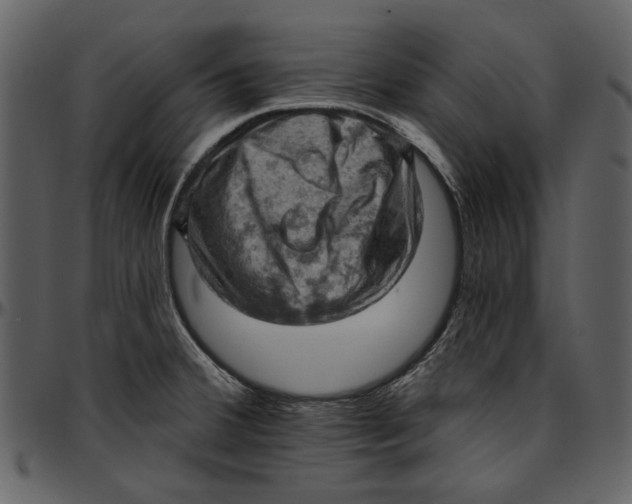 X0000096951380200802291046