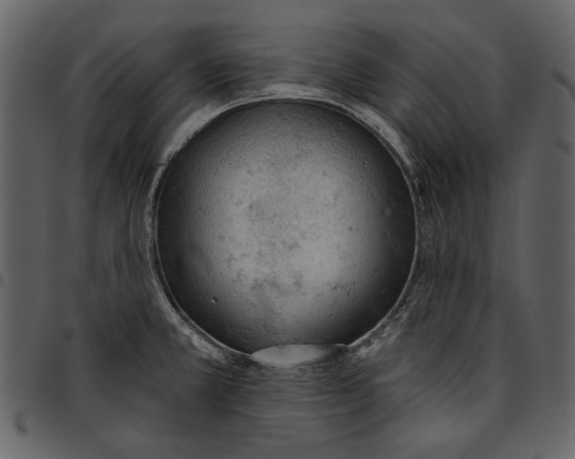 X0000096951381200802291046