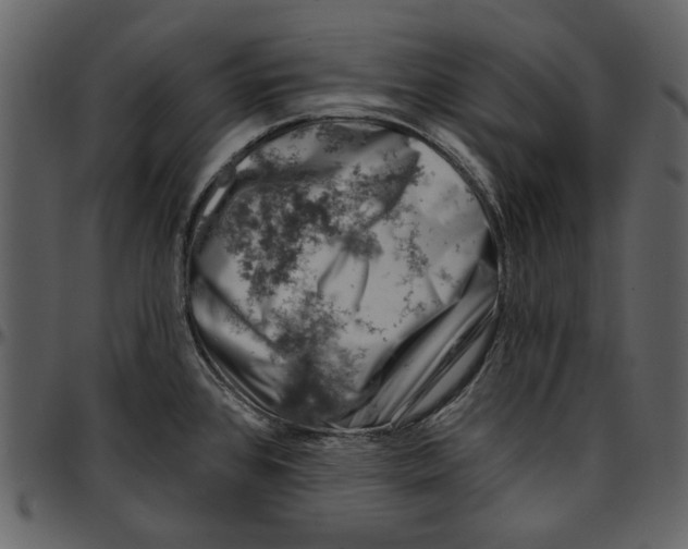 X0000096951384200802291046