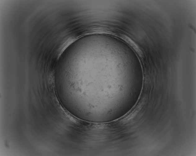 X0000096951385200802291046