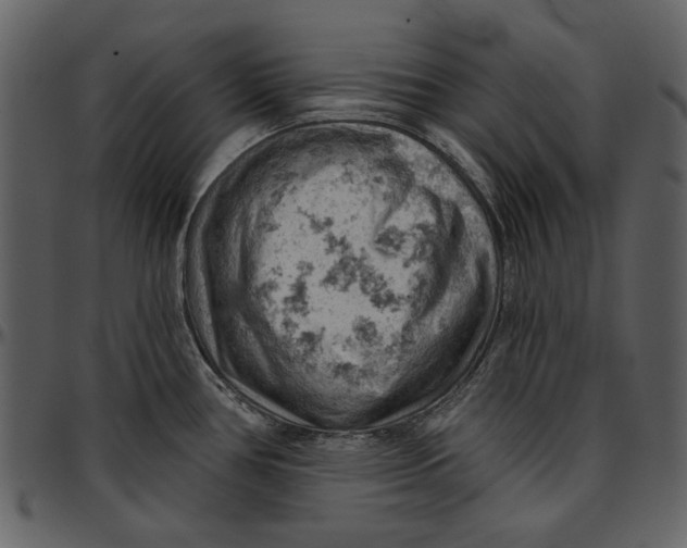 X0000096951386200802291046