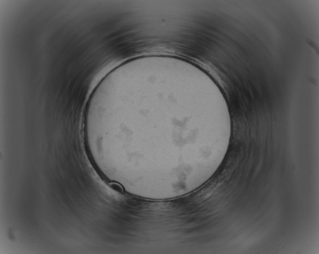 X0000096951387200802291046