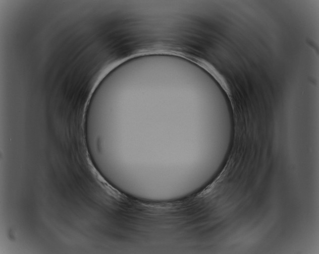 X0000096951388200802291046