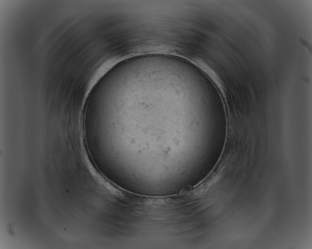 X0000096951389200802291046