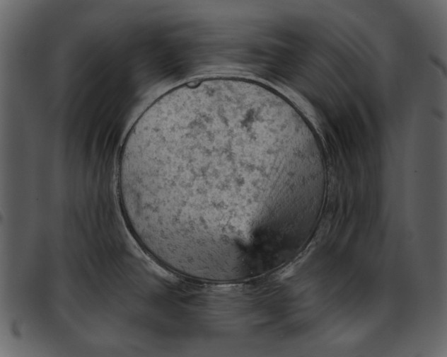 X0000096951390200802291046