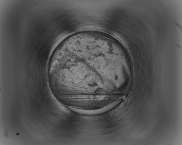 X0000096951392200802291046