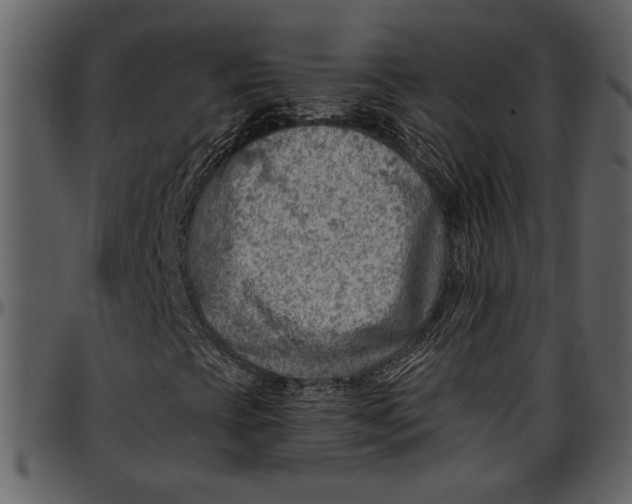 X0000096951393200802291045