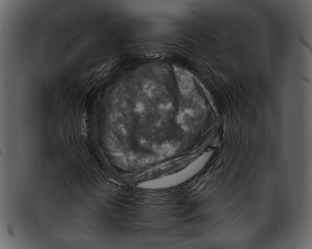 X0000096951394200802291045