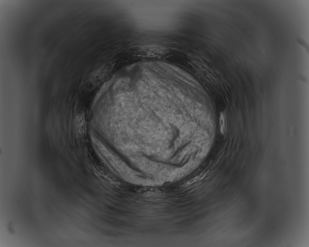 X0000096951395200802291045