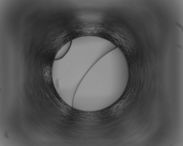 X0000096951396200802291045