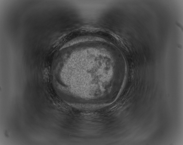 X0000096951397200802291045