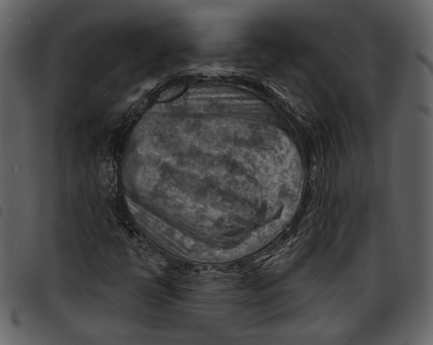 X0000096951398200802291045