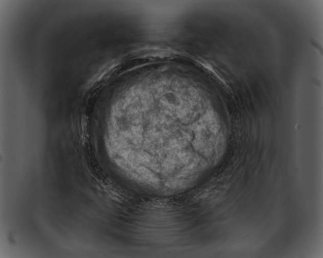 X0000096951399200802291045