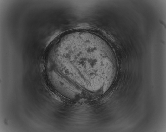 X0000096951400200802291045