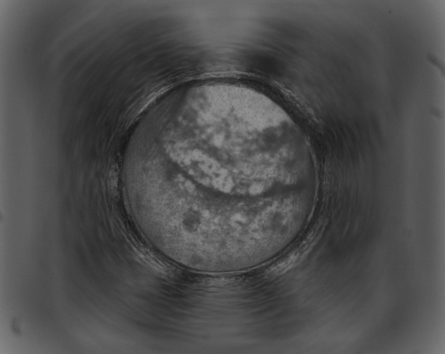 X0000096951401200802291045