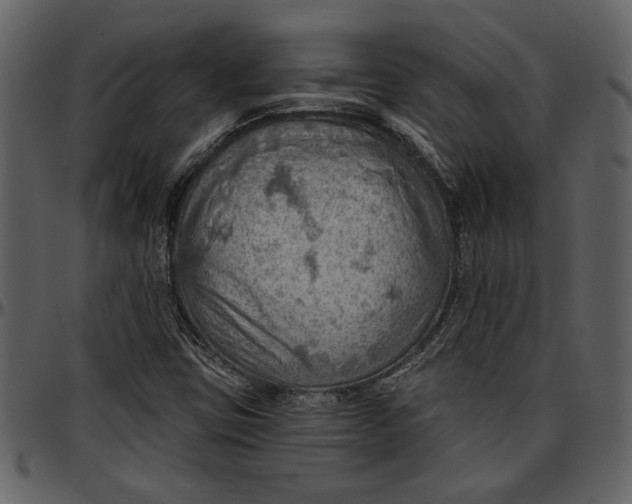 X0000096951403200802291045