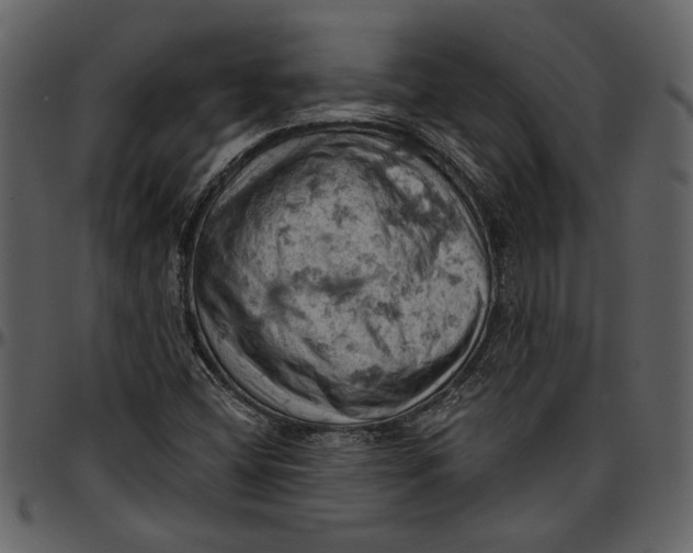 X0000096951404200802291045