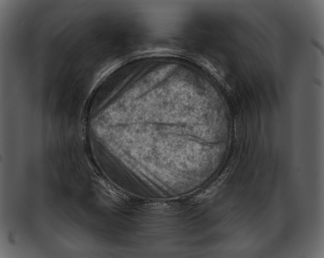 X0000096951405200802291045