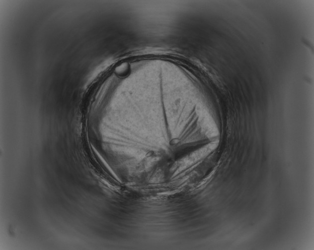 X0000096951406200802291045