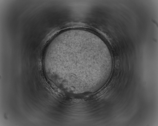 X0000096951407200802291045