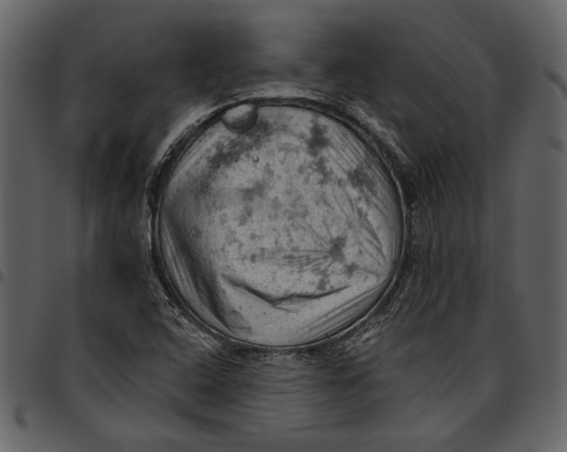 X0000096951408200802291045