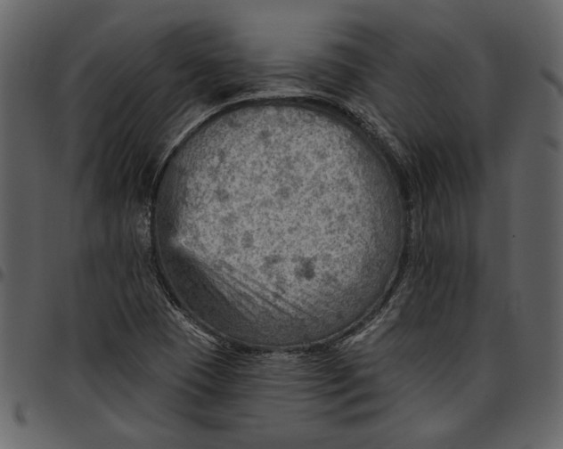 X0000096951409200802291045