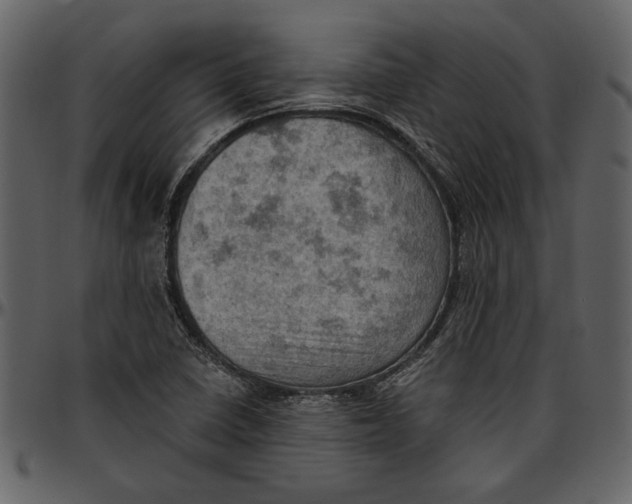 X0000096951410200802291045