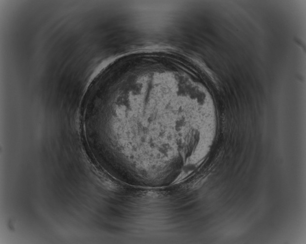 X0000096951412200802291045