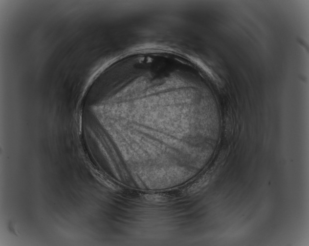 X0000096951413200802291045