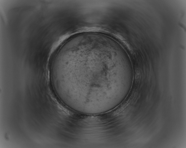 X0000096951414200802291045