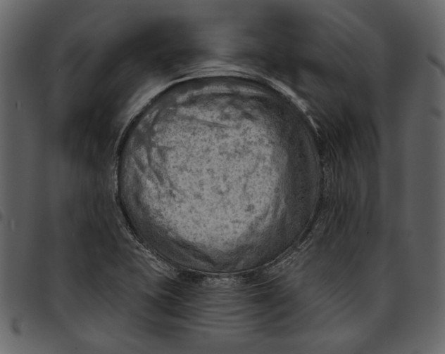 X0000096951415200802291045