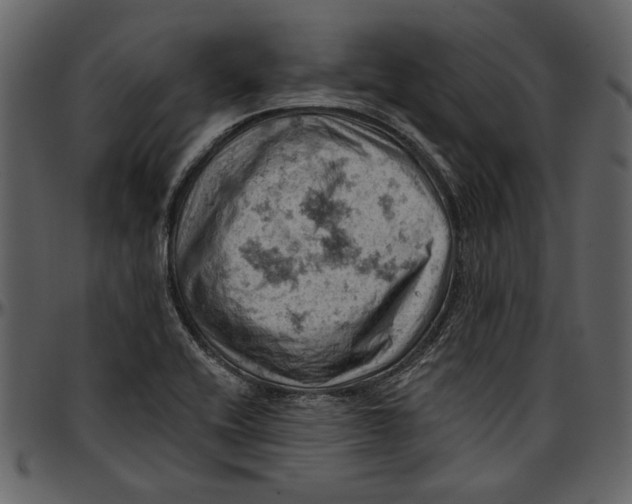 X0000096951416200802291045