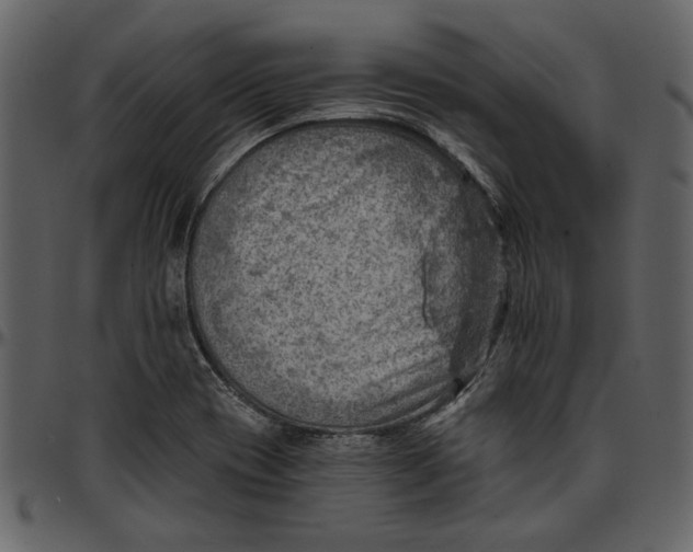 X0000096951417200802291045