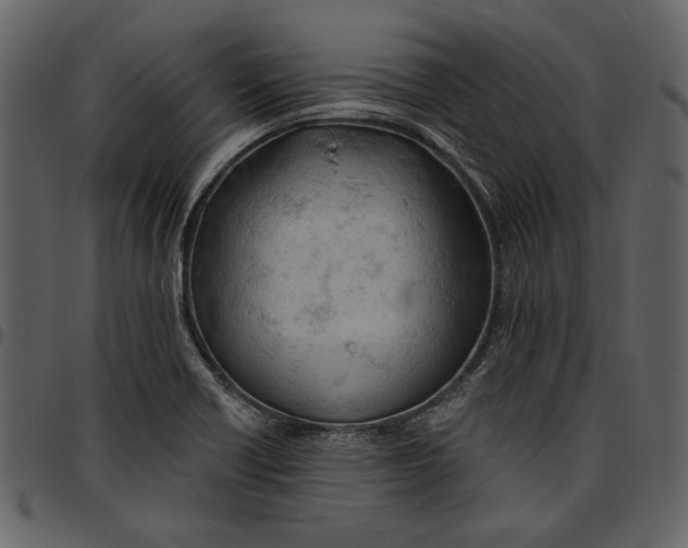 X0000096951418200802291045