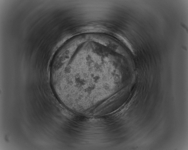 X0000096951419200802291045