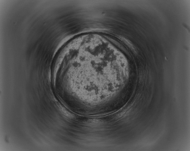 X0000096951420200802291045