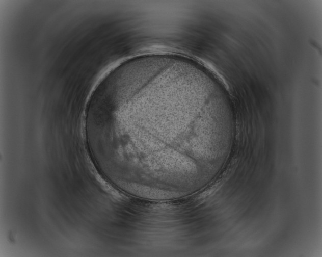 X0000096951421200802291045