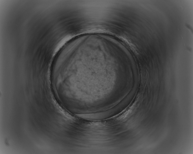 X0000096951422200802291045