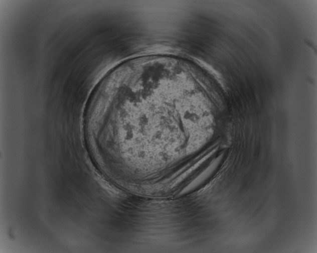 X0000096951423200802291045