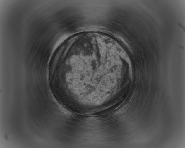 X0000096951424200802291045