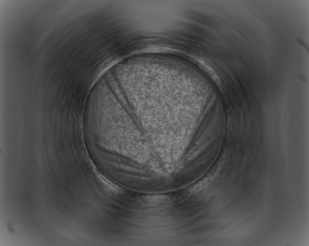 X0000096951425200802291045