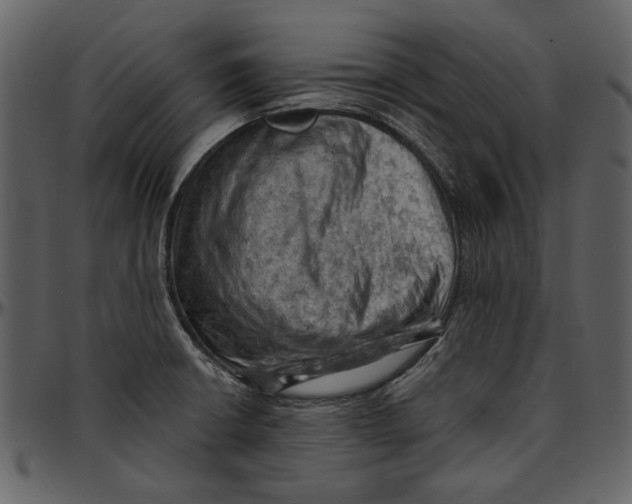 X0000096951426200802291045