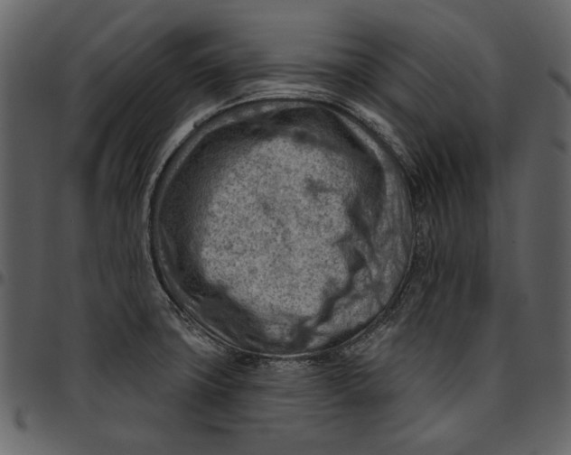 X0000096951427200802291046