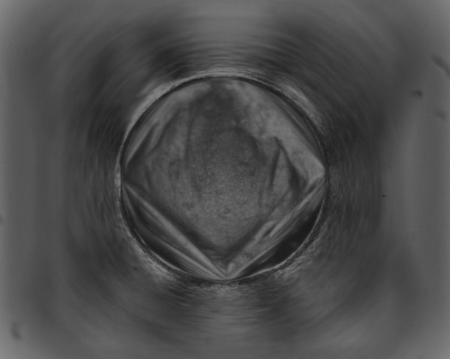 X0000096951428200802291046