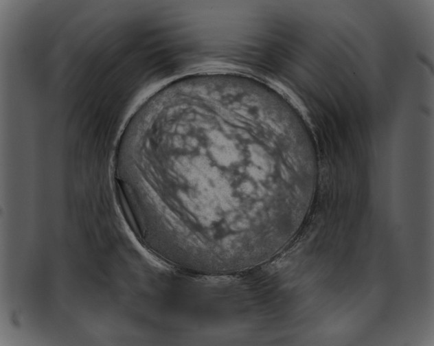 X0000096951429200802291046