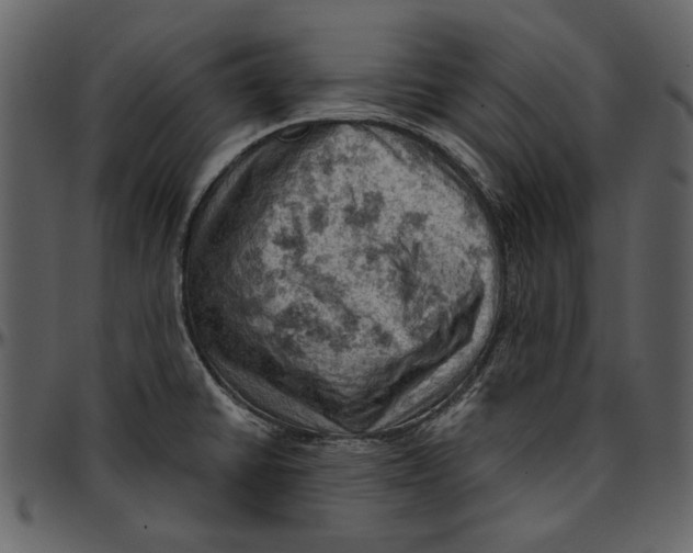 X0000096951430200802291046